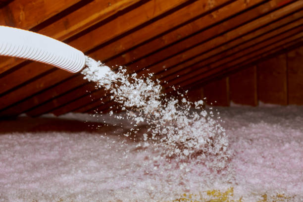 Best Blown-in Insulation in Woodlawn, OH