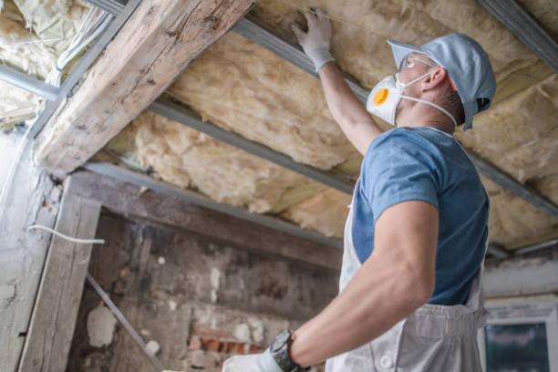 Types of Insulation We Offer in Woodlawn, OH