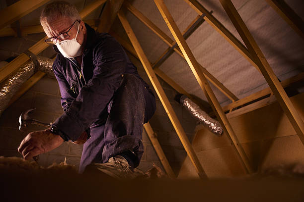 Best DIY Insulation Kits and Guidance in Woodlawn, OH